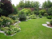 Зелёная поляна