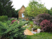 Зелёная поляна