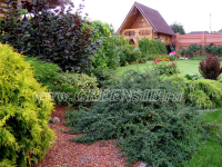 Зелёная поляна