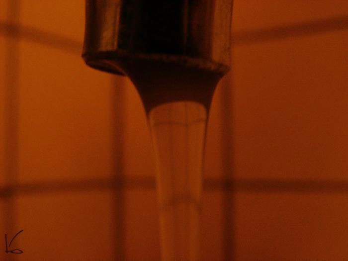 pic175902.jpg