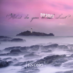 Fandango- What do you think about?