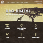 baodigital.com