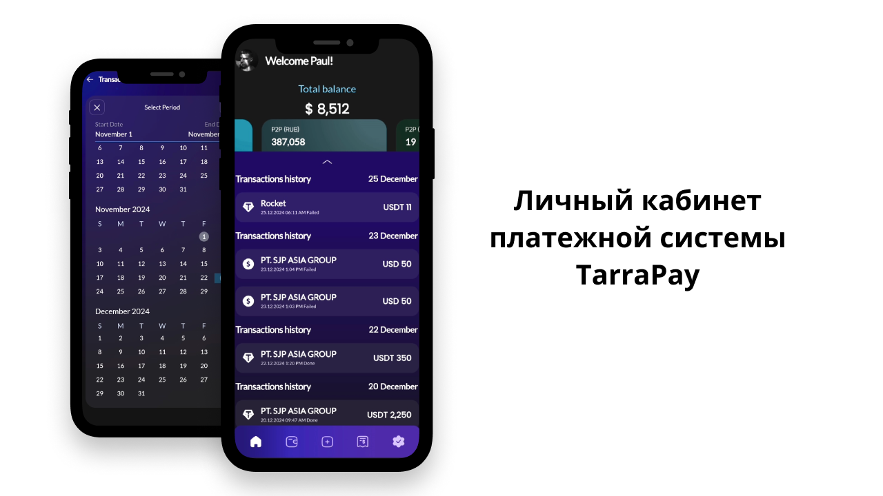 Личный кабинет платёжной системы TerraPay