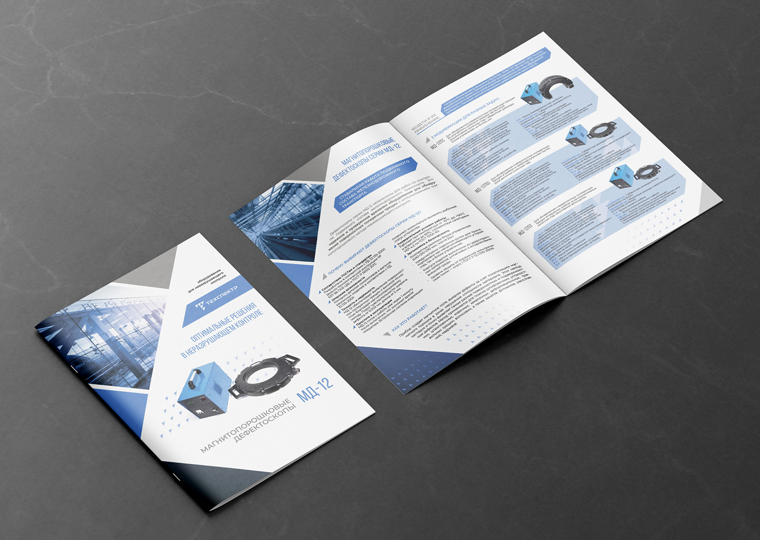 Free_A4_Brochure_Mockup_1 копия.jpg