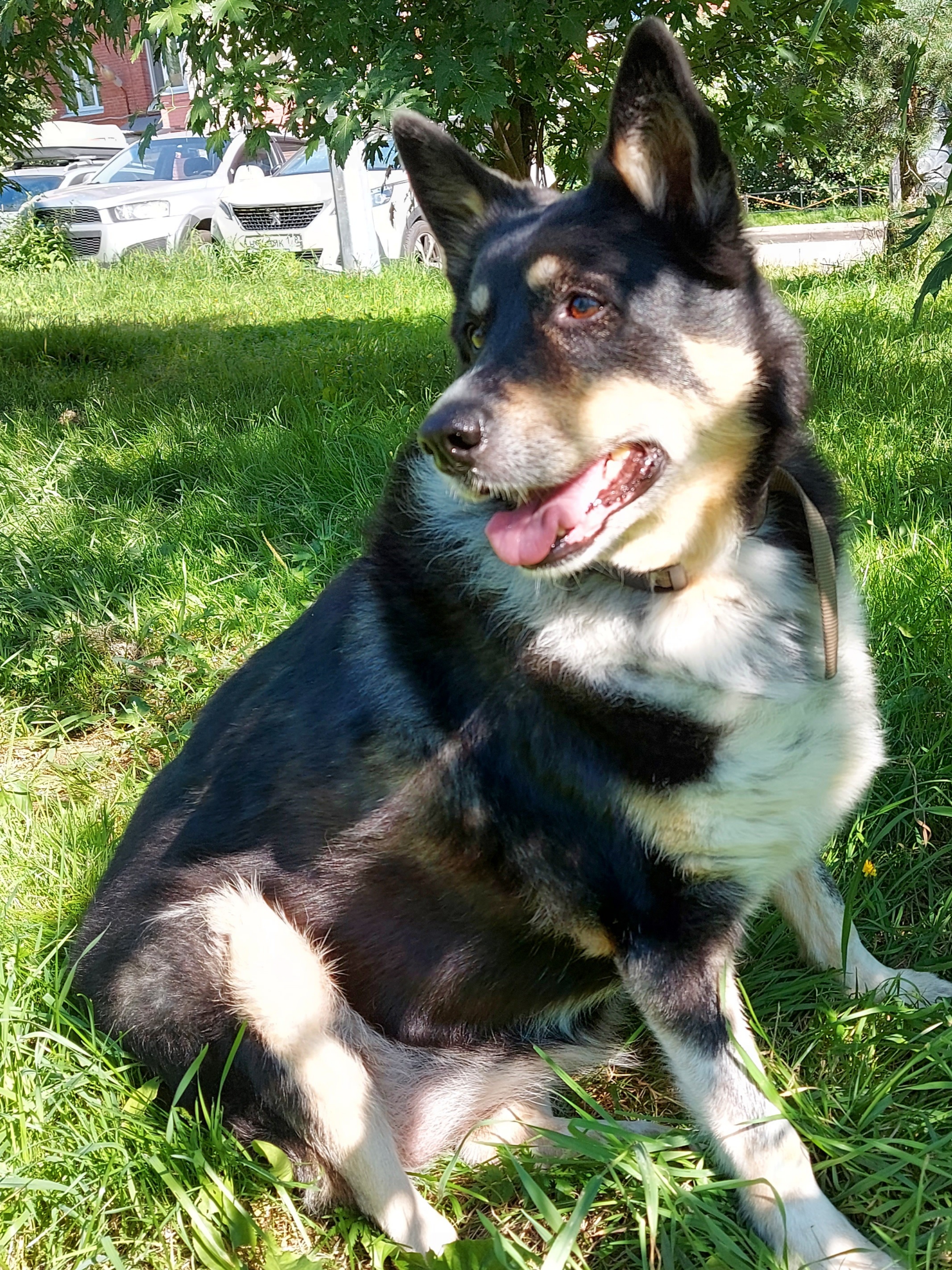 20220814_145616.jpg