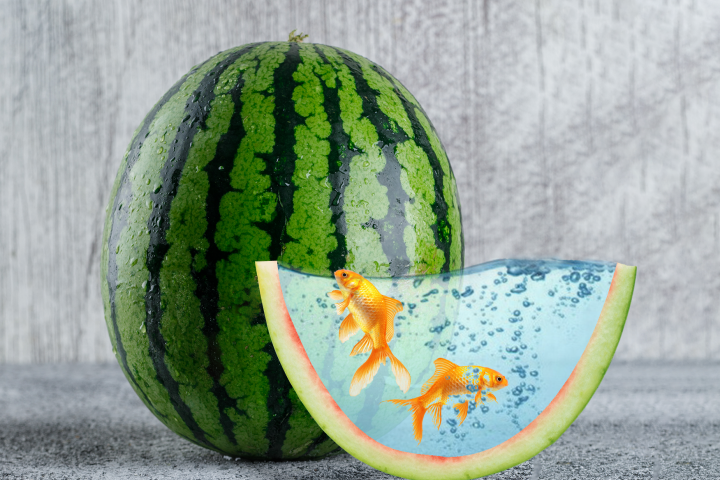 Photoshop. Обтравка. Коллаж. Цветокоррекция.