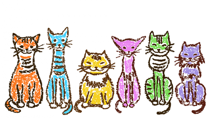 Коты всех мастей