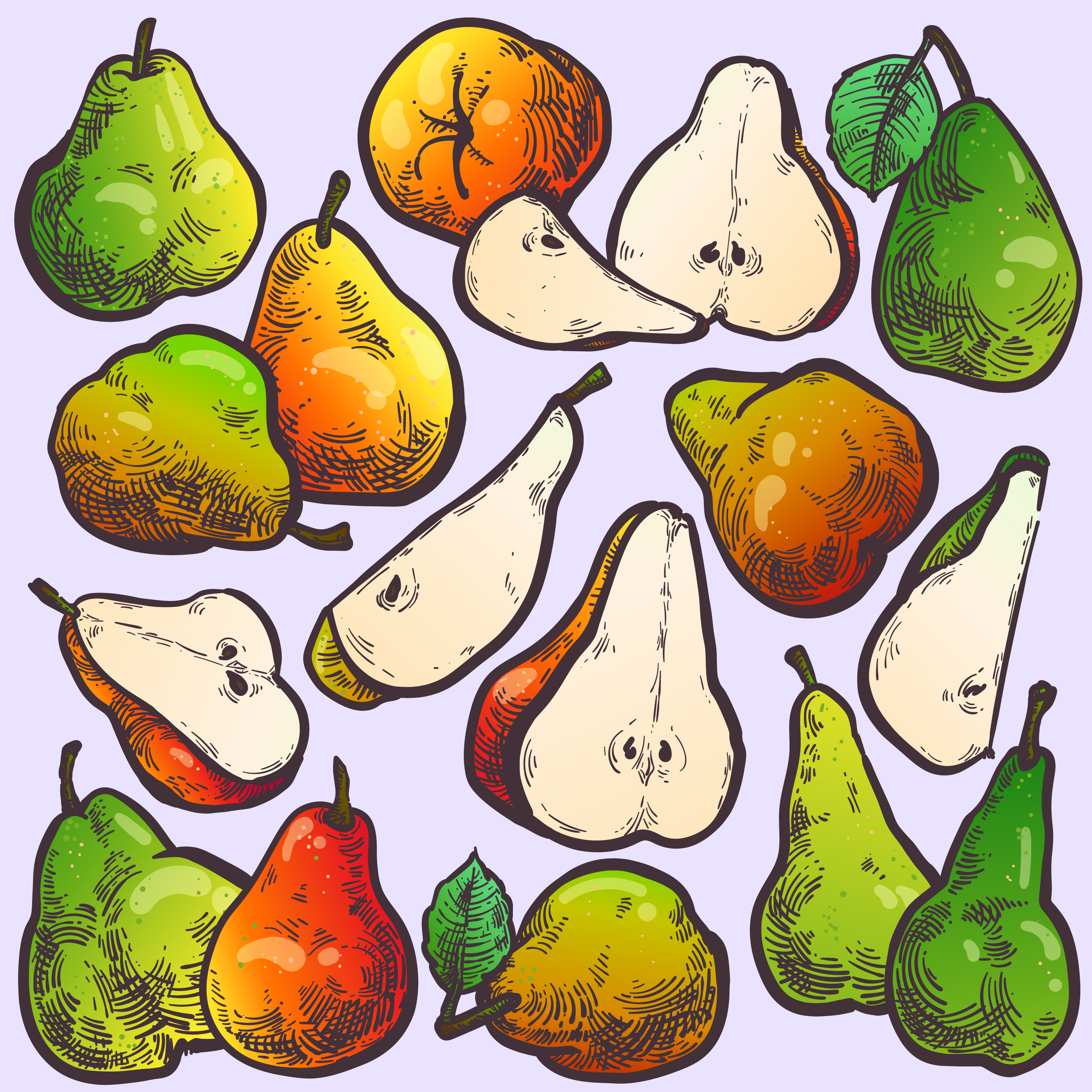 fruit set_pear.jpg