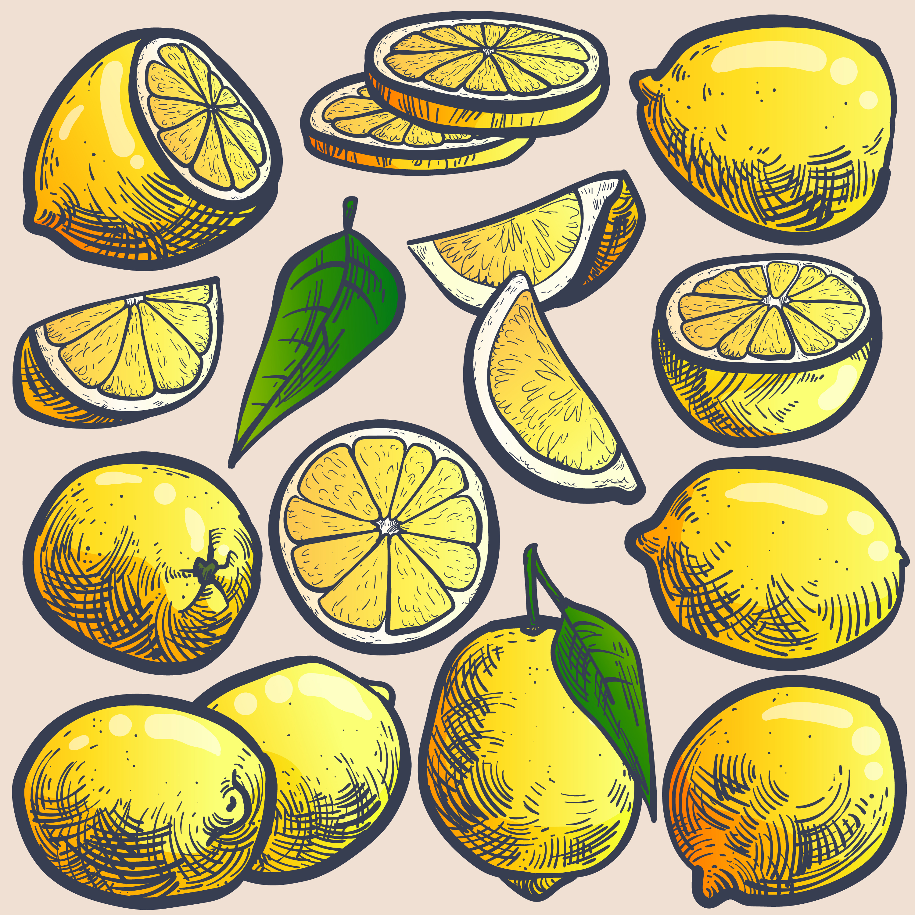fruit set_lemon.jpg