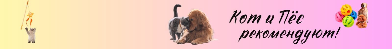 Озон банер_20250203_170344_0001.jpg