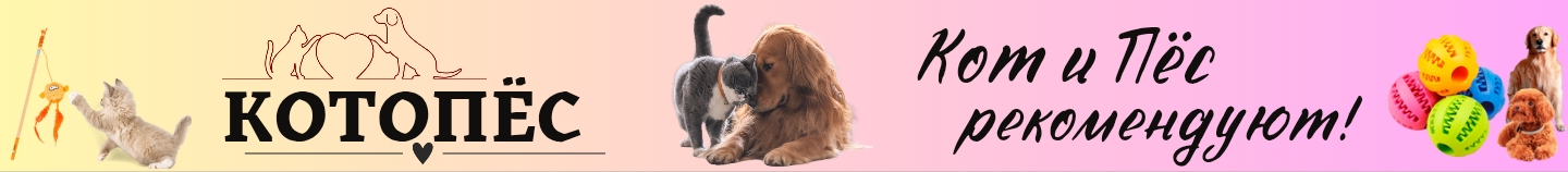 WB банер_20250203_165510_0001.jpg