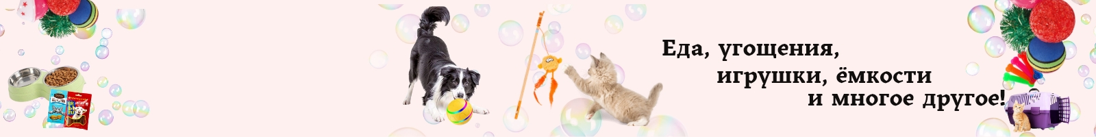 Озон банер_20250203_170344_0000.jpg