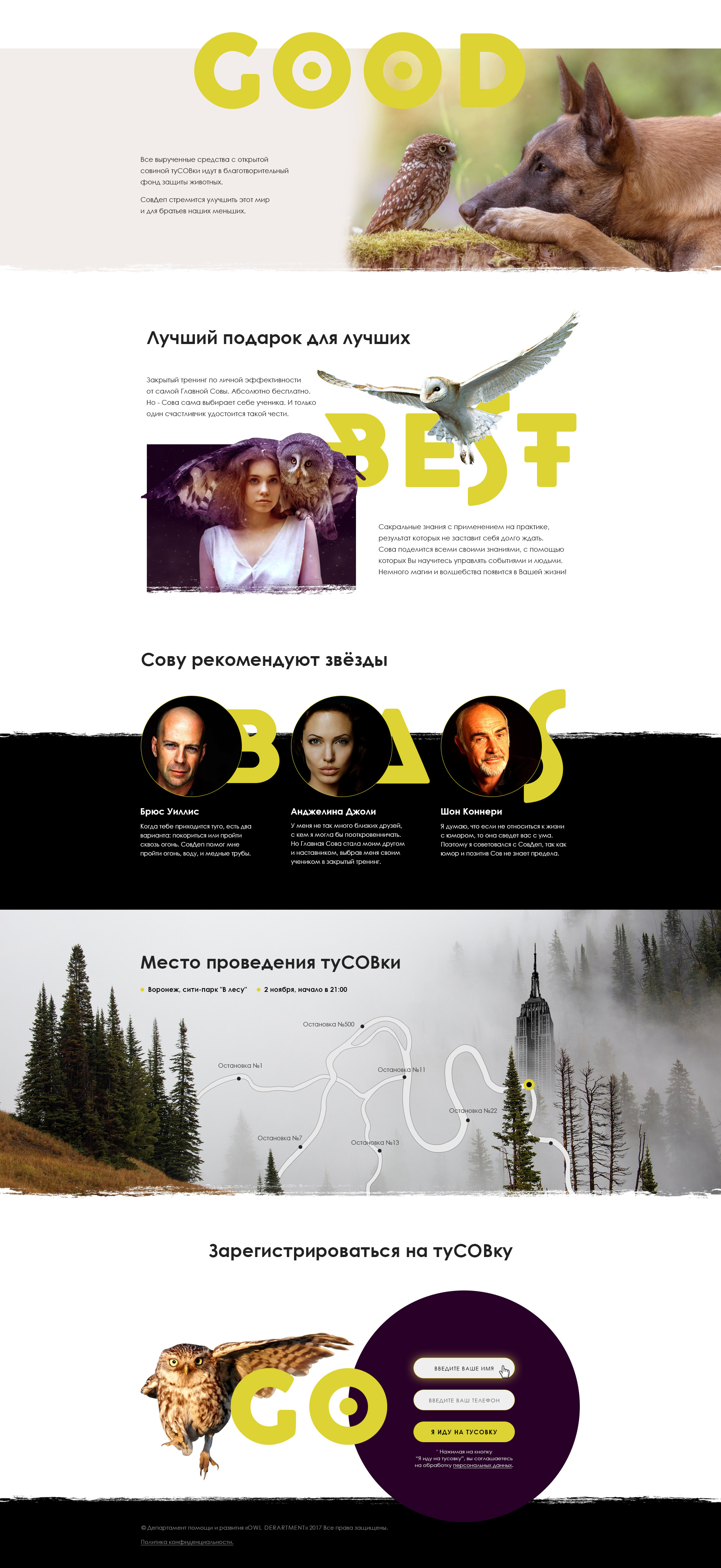 совы_3.jpg