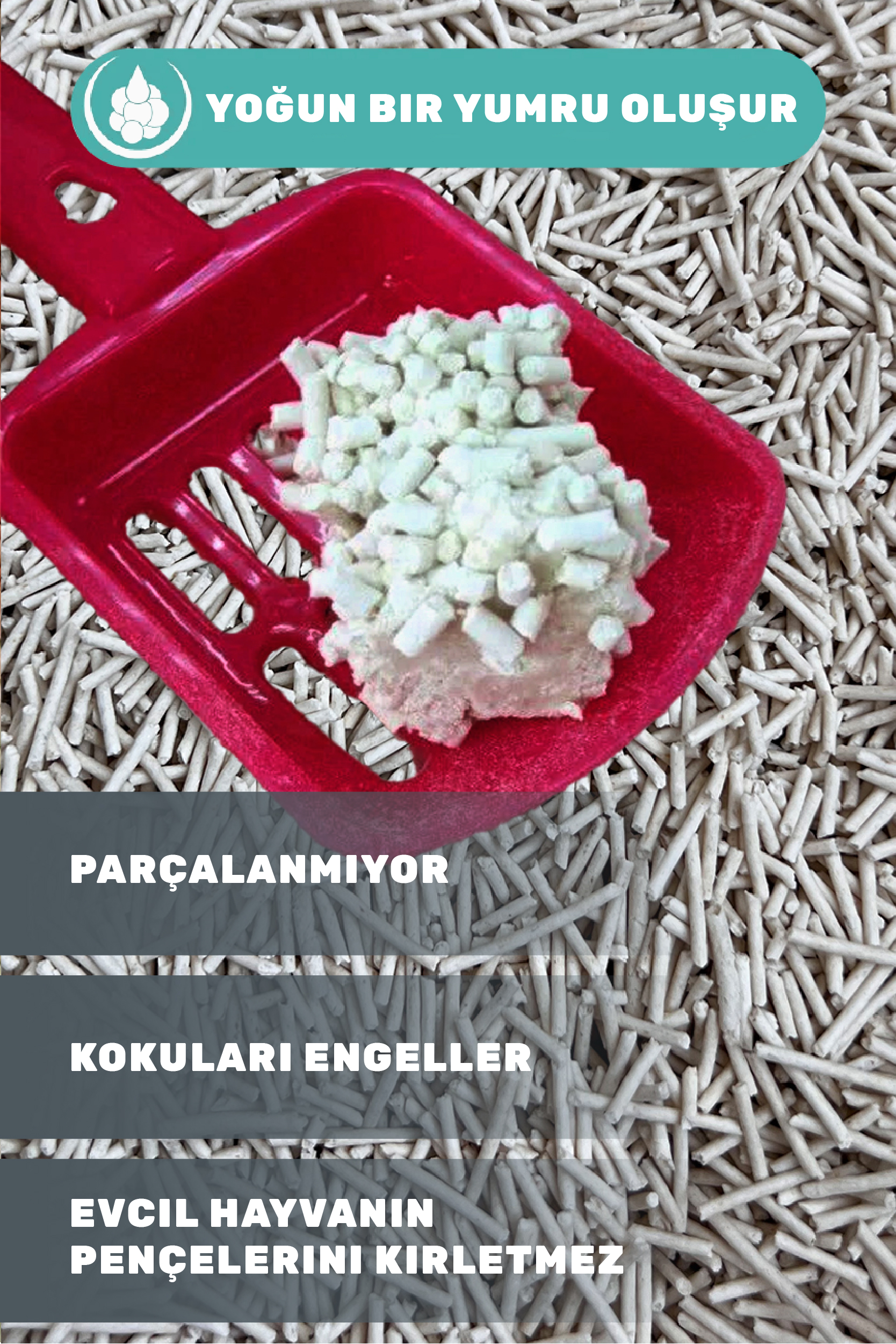 карточки для цветного_Монтажная область 1 копия 5.jpg