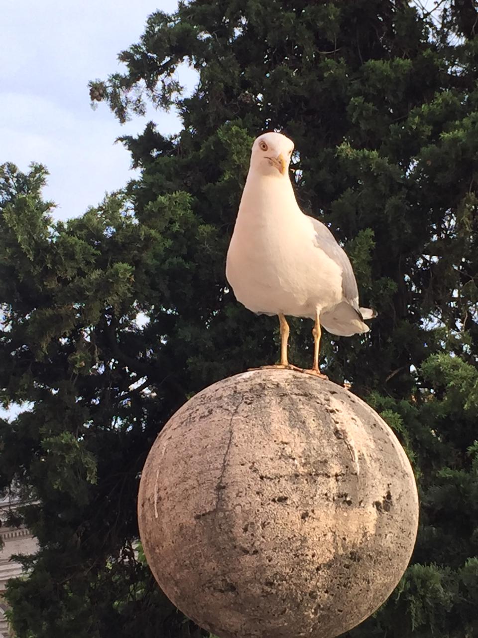 WhatsApp Image 2025-02-11 at 10.37.50 (5).jpeg