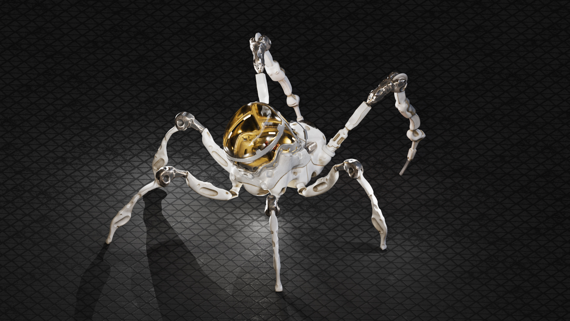 SpiderRender3 copy.jpg