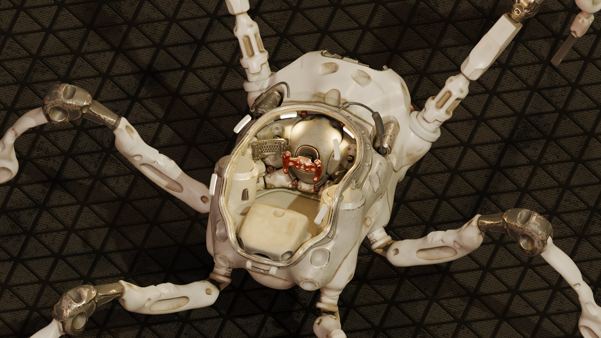 SpiderRender2 copy.jpg