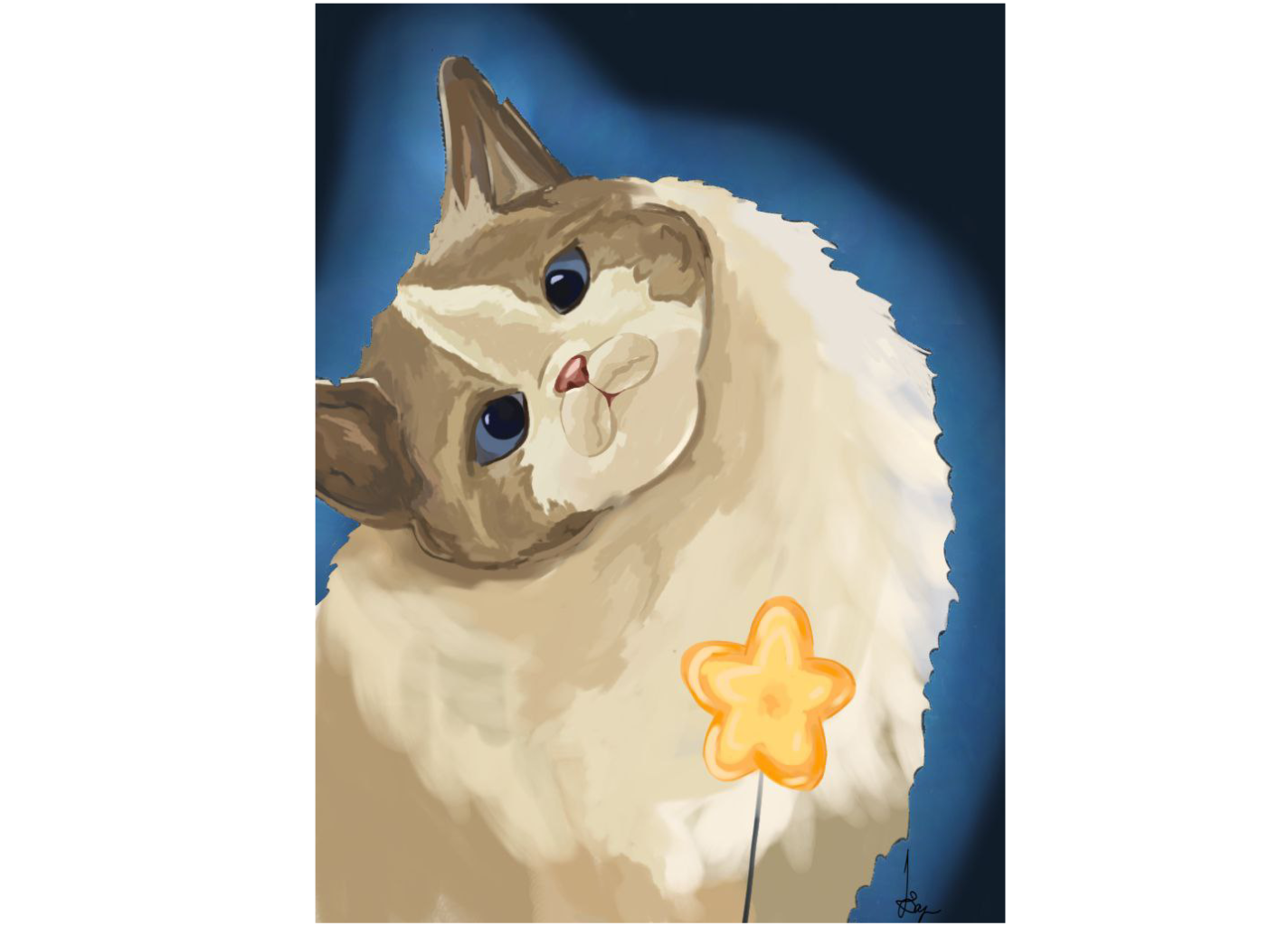 Арт "Кошка со звездой"