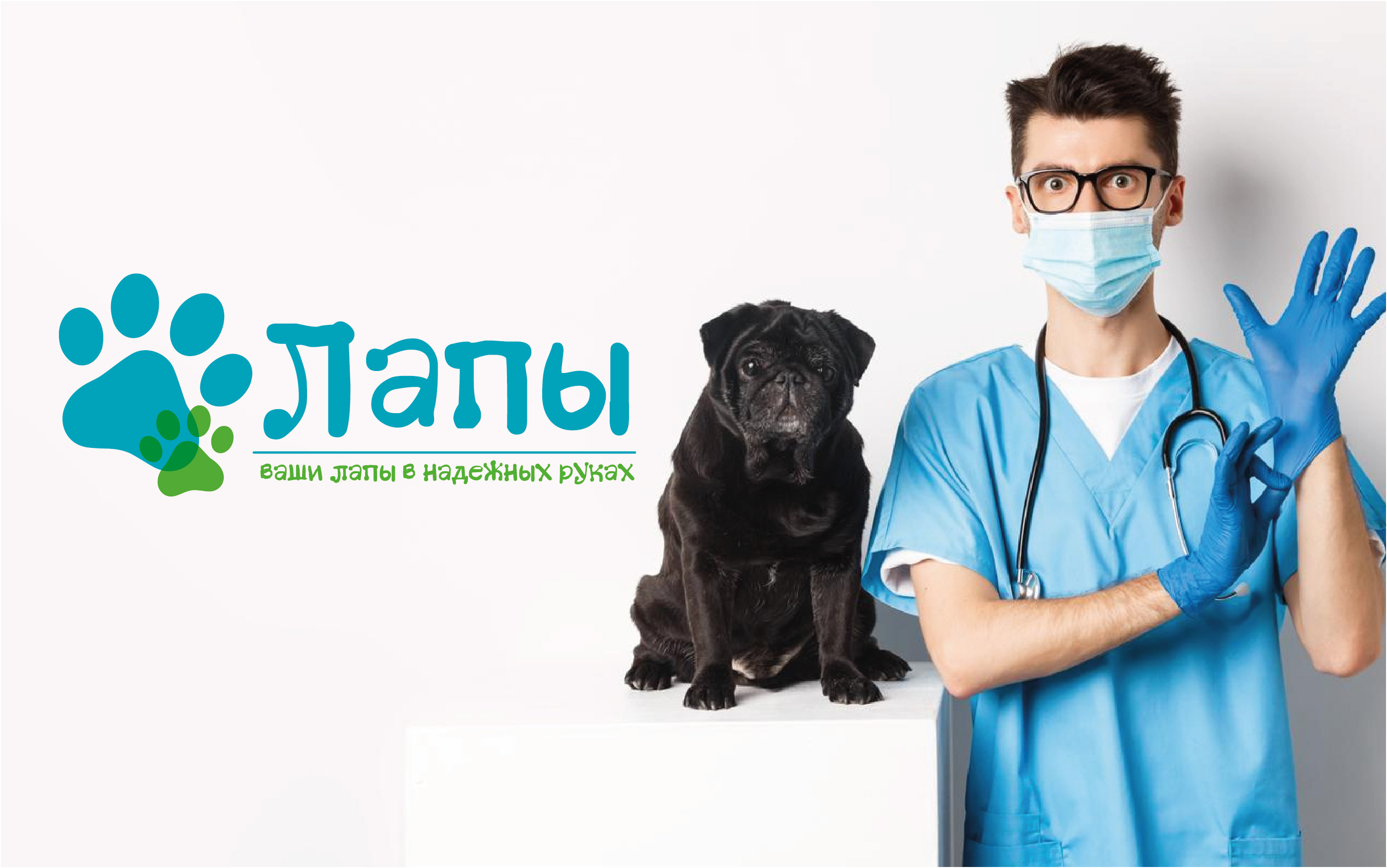 paws_web-06.jpg