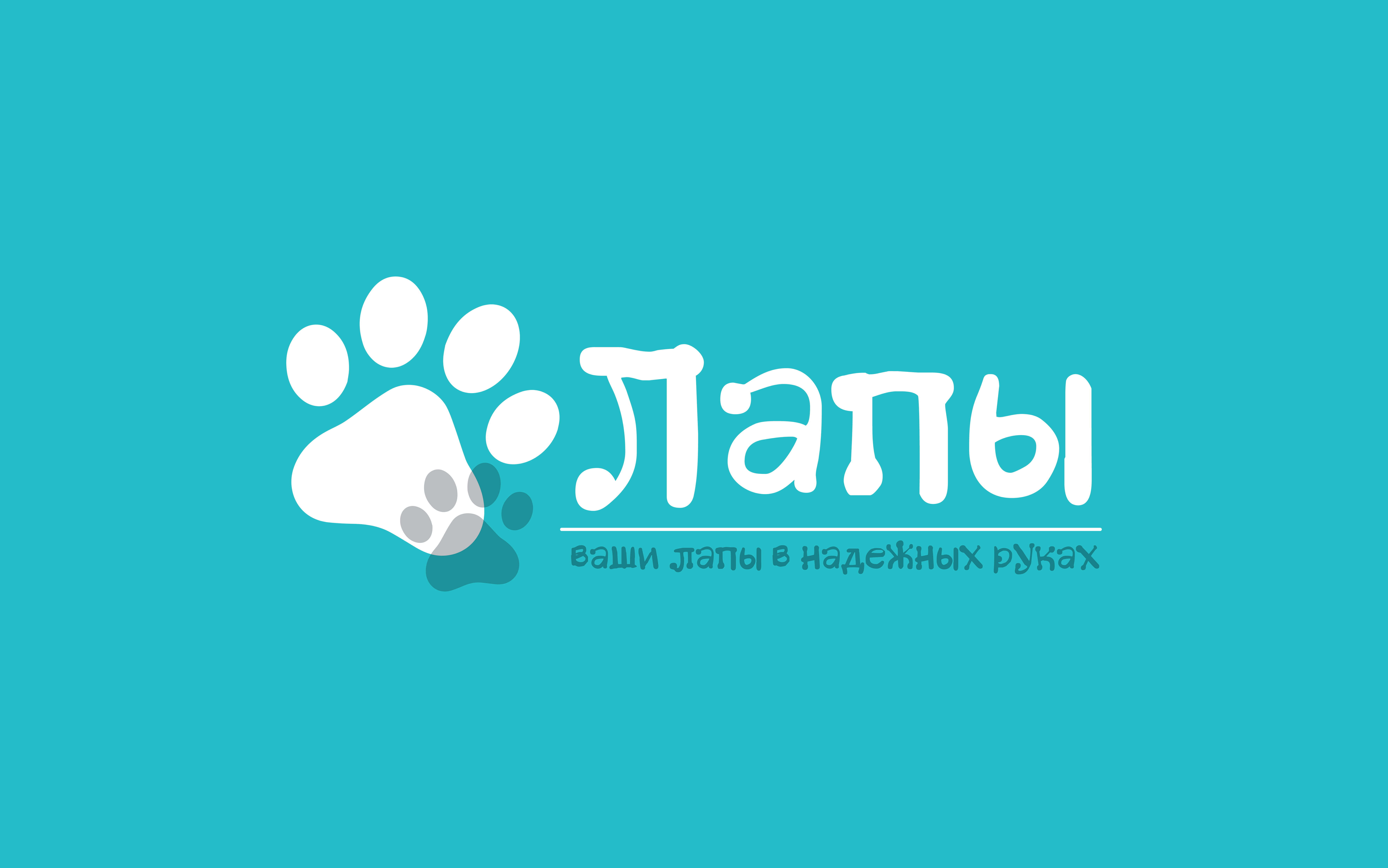 paws_web-03.jpg