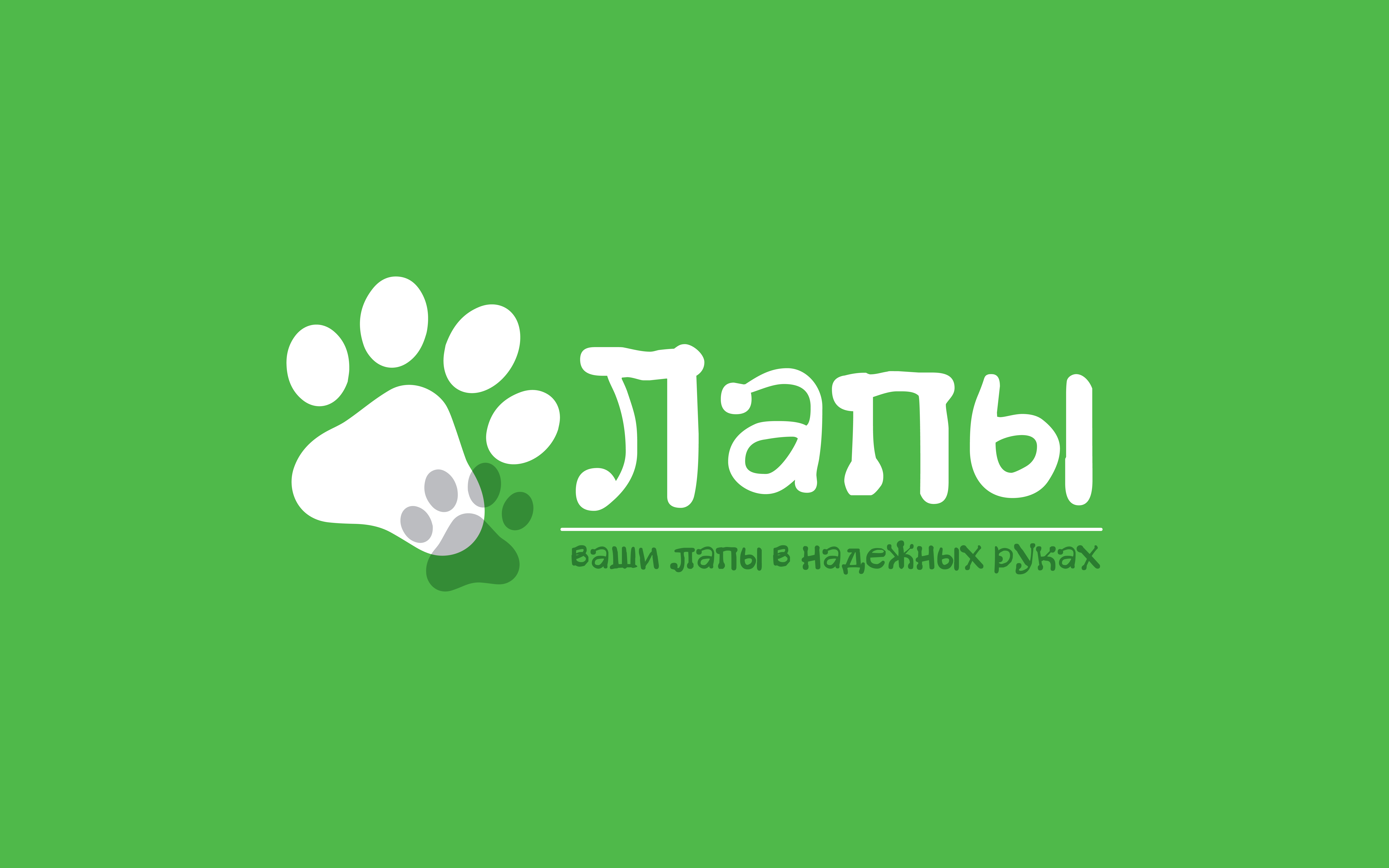 paws_web-04.jpg