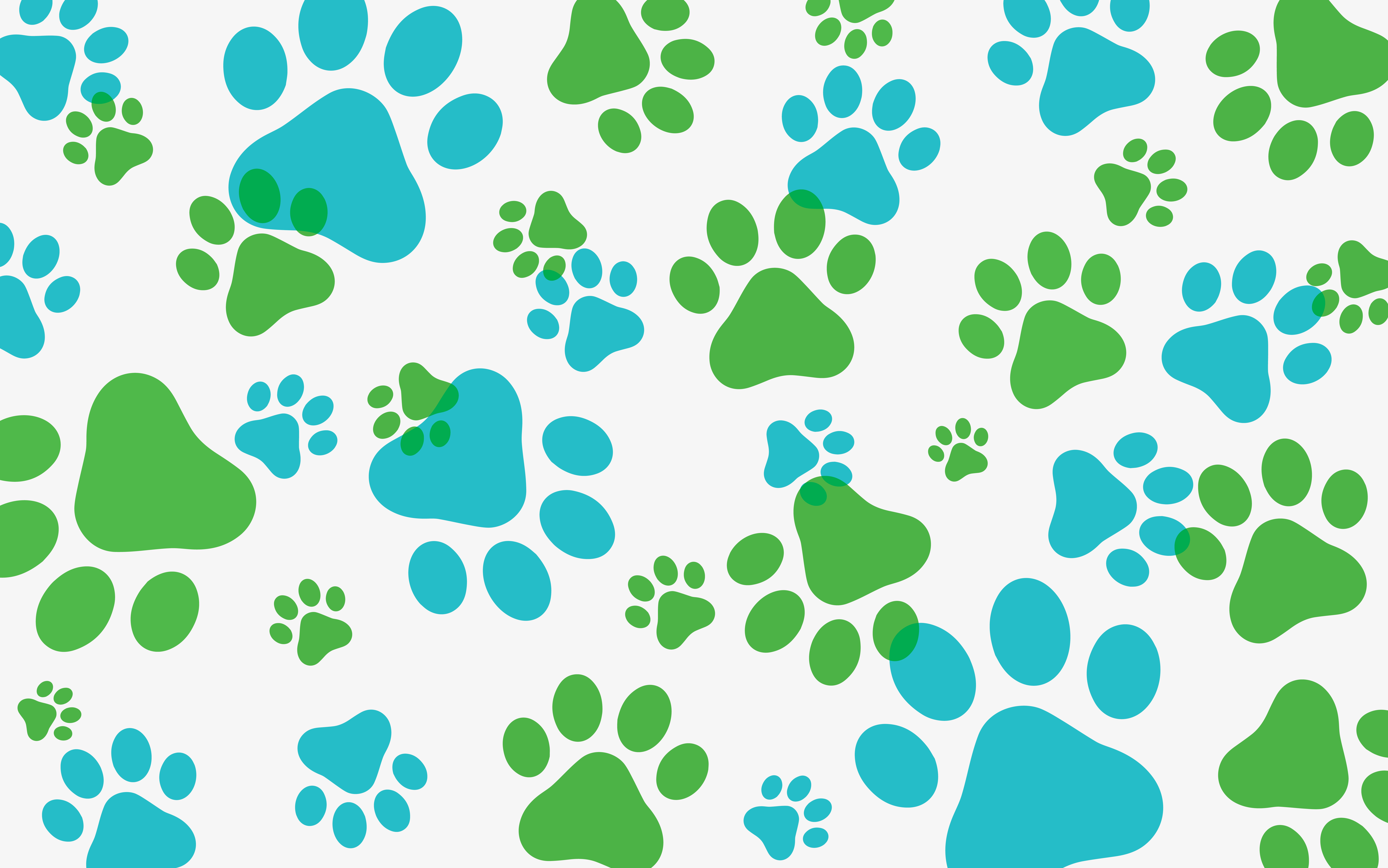 paws_web-02.jpg