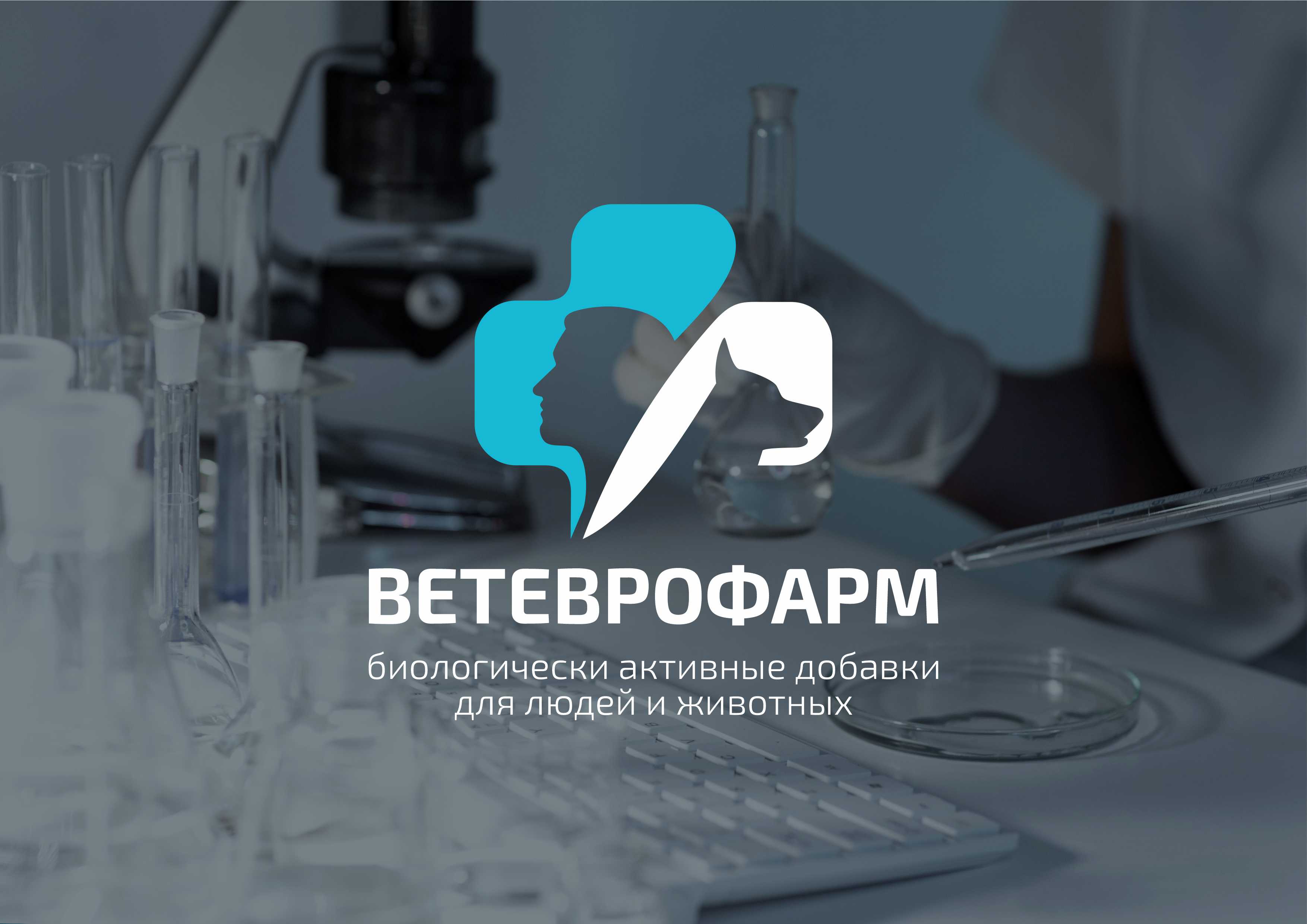 Логотип визуал.jpg