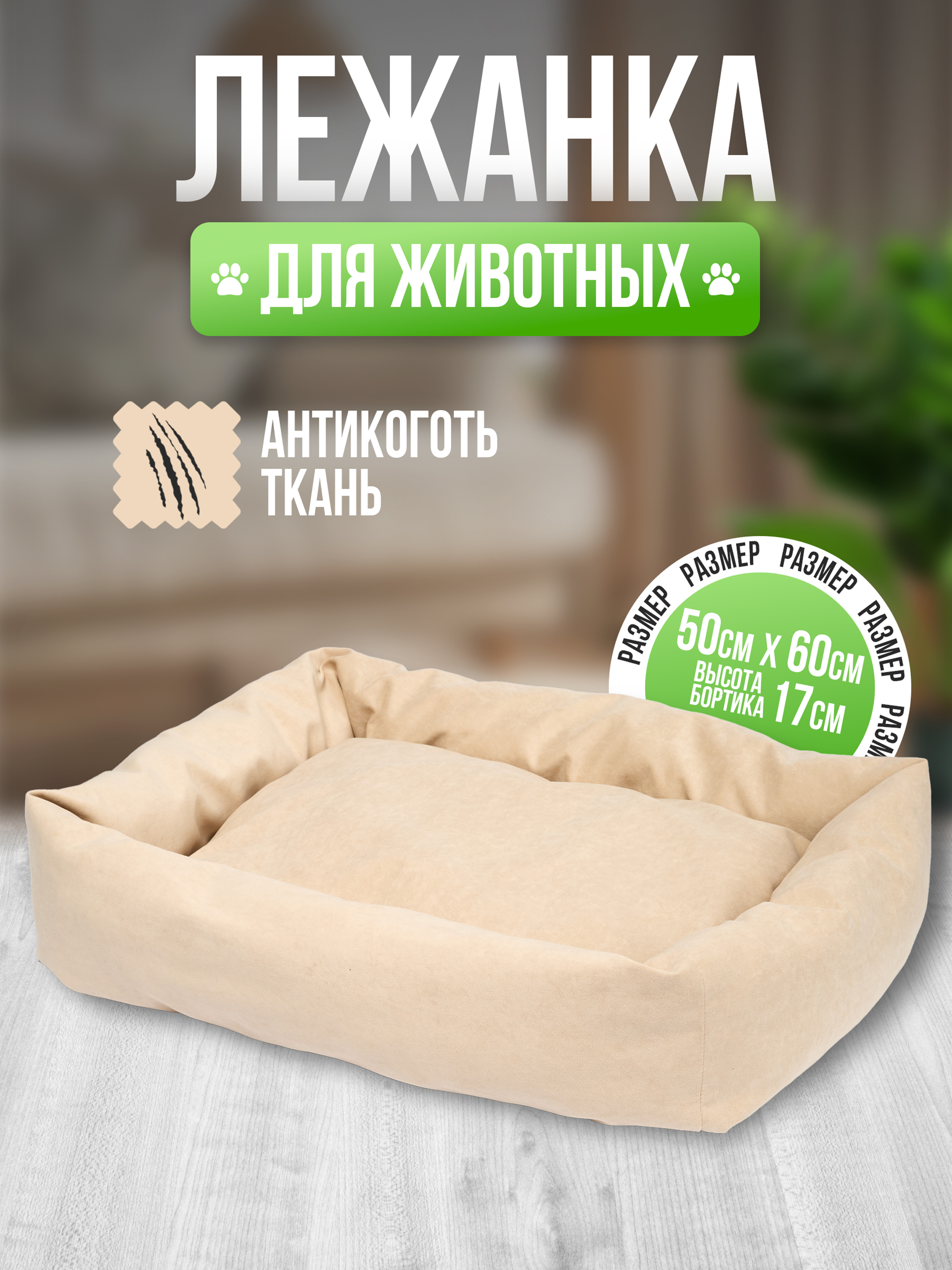 Главная.jpg