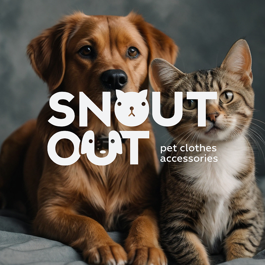 867899914.png