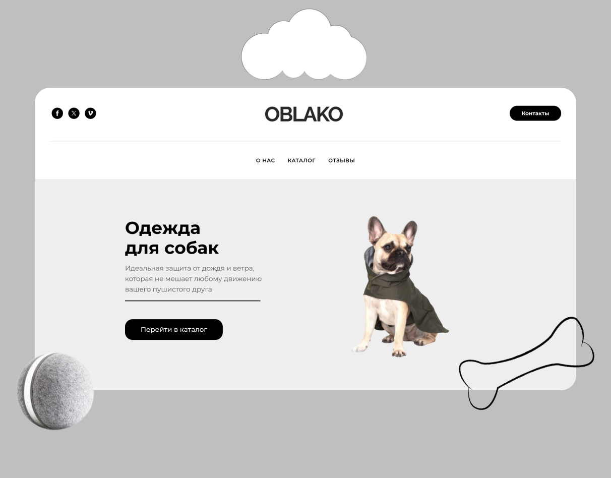 Дизайн интернет-магазина одежды для собак