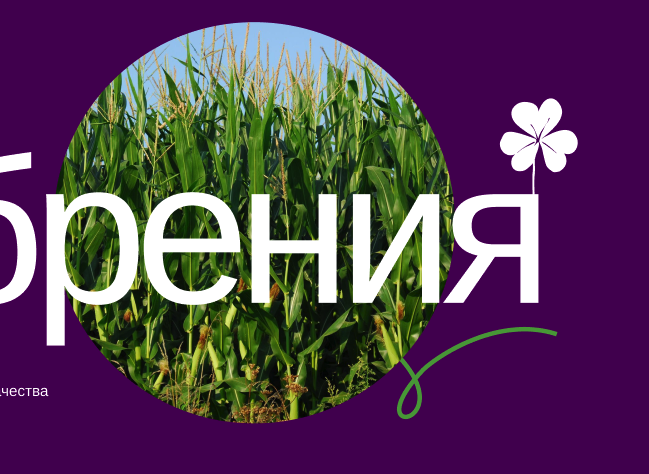 Русским