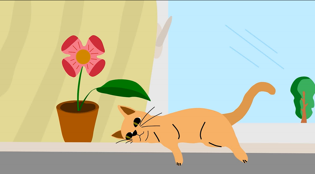 Кот у окна, анимация