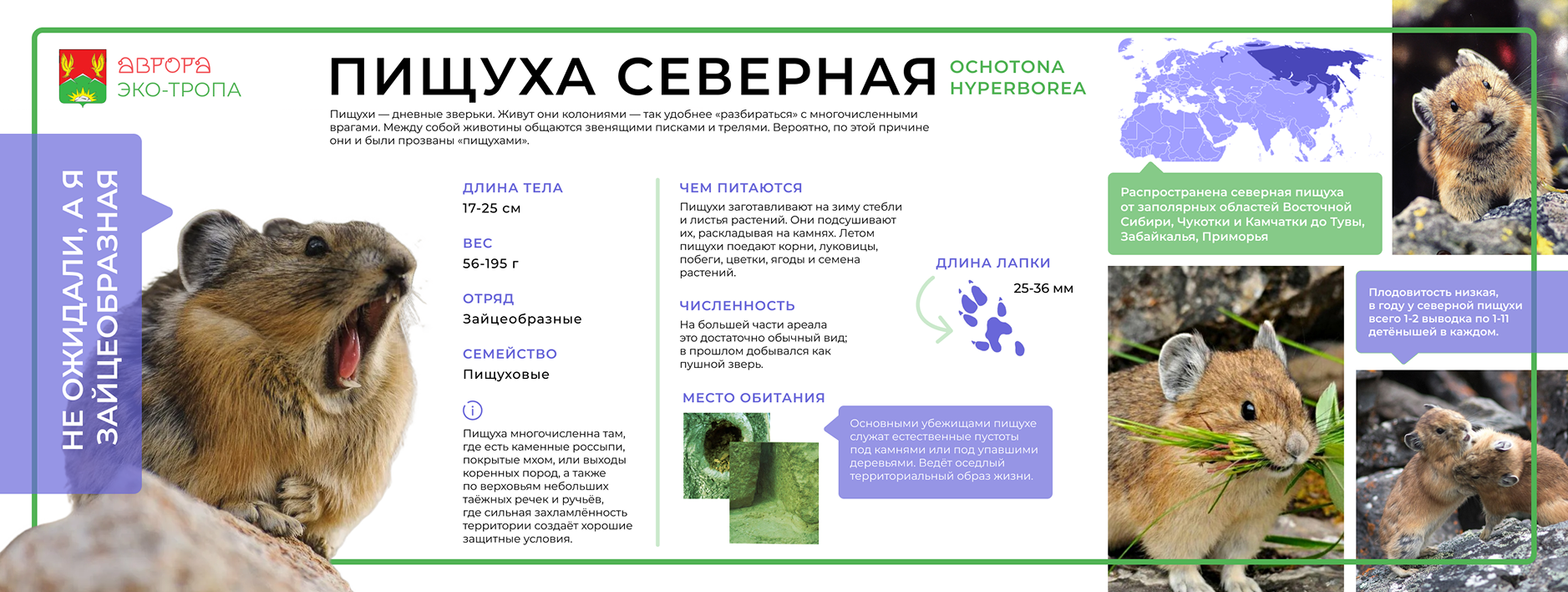 Slide 16_9 - 3 1.png