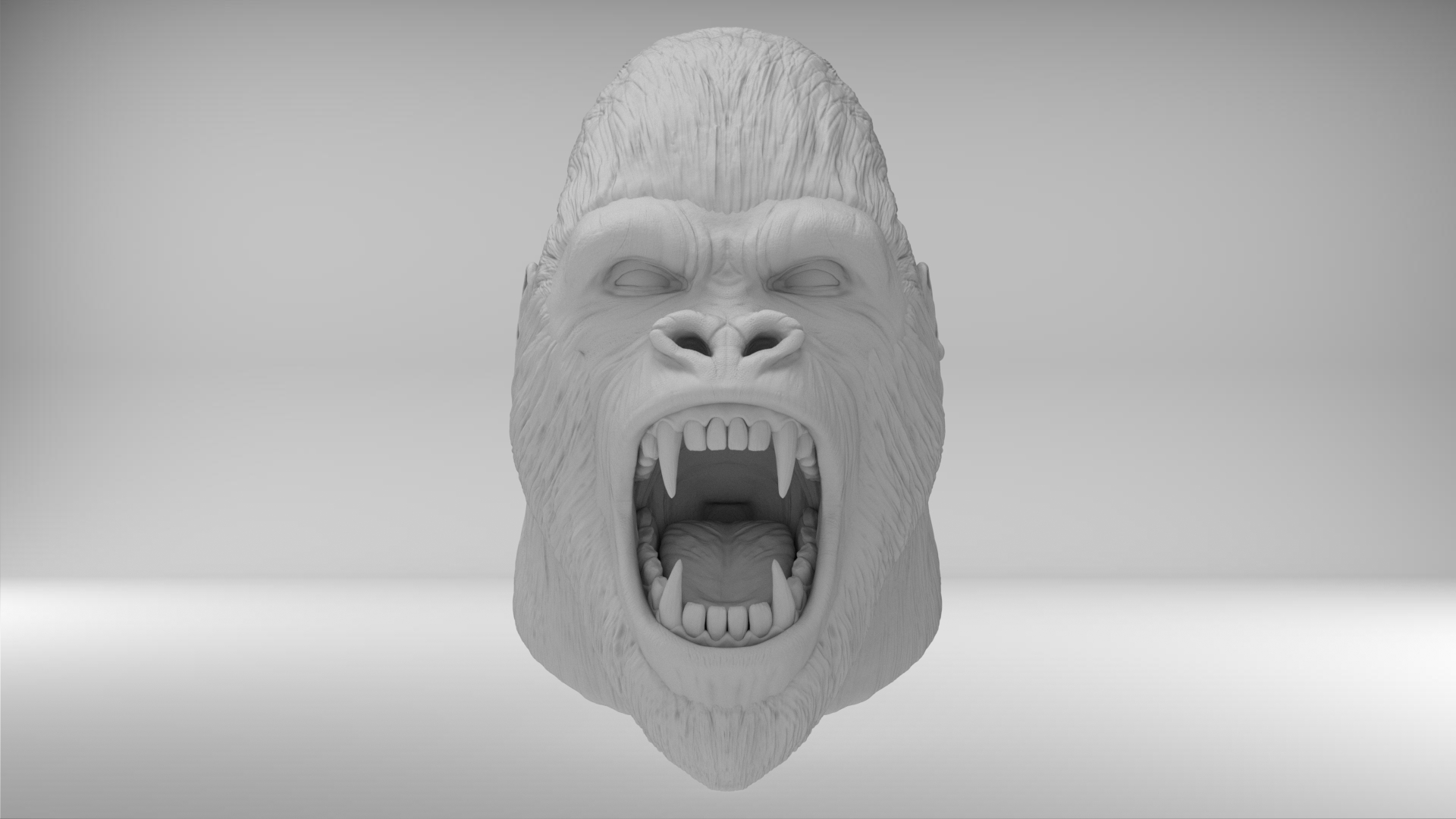 gorilla_epta.12.jpg