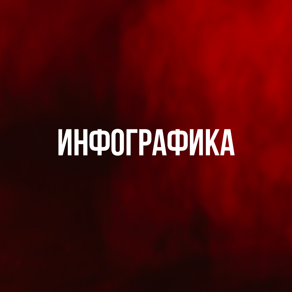 инфографика