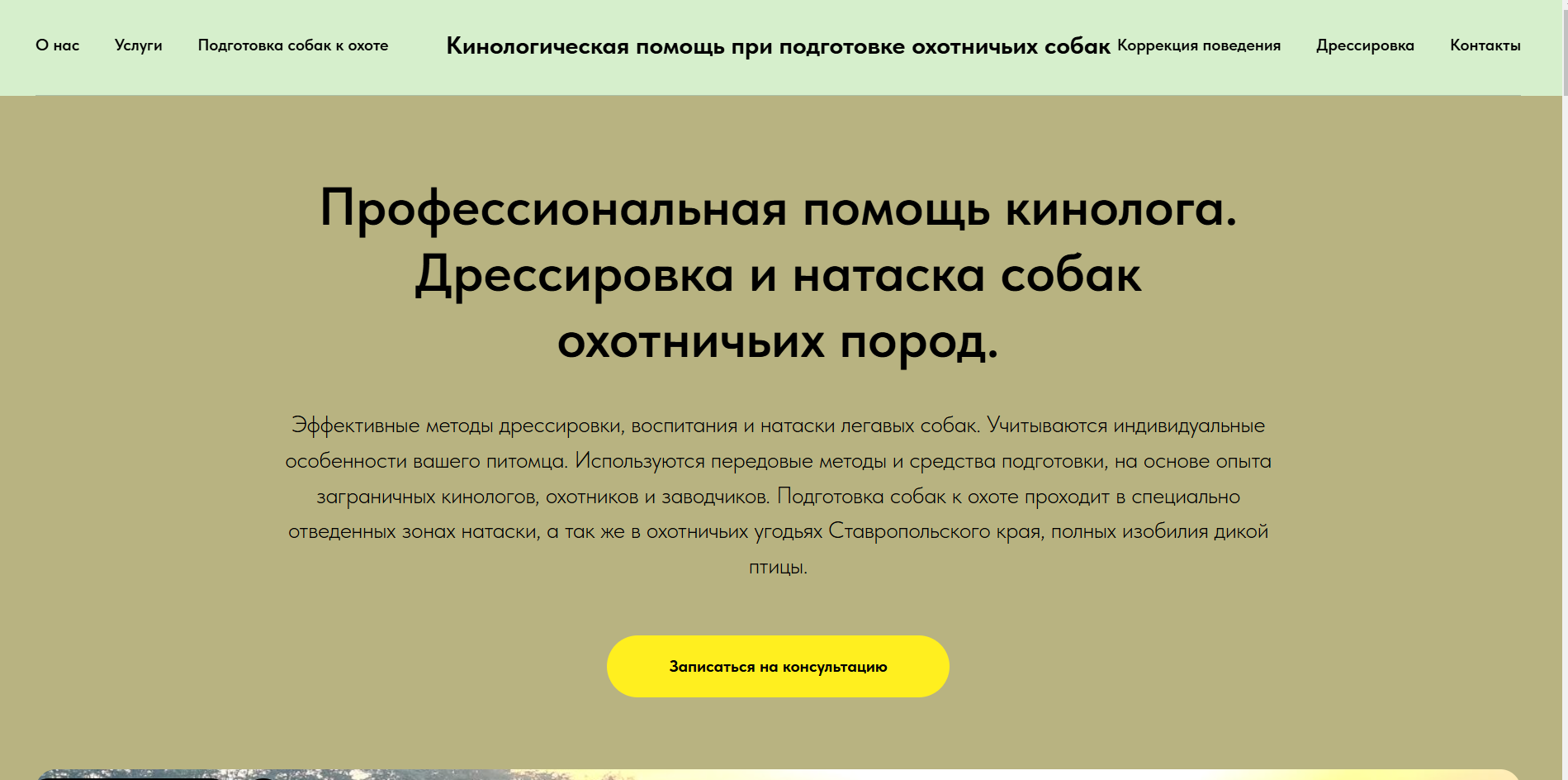 Сайт для рекламы услуг по подготовке и дрессировке подружейных собак охотничьих пород