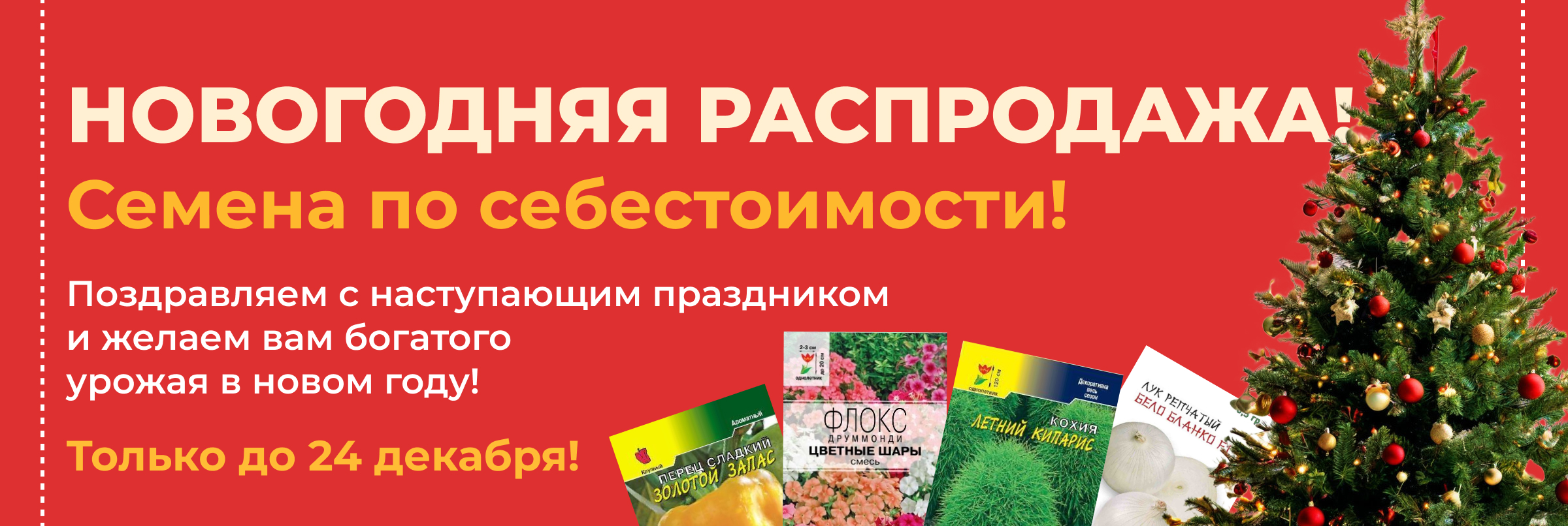 Баннер 3.jpg
