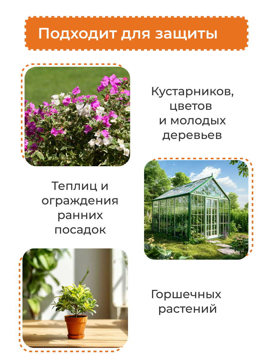 4 слайд Зимнее Укрытие 50_50.png