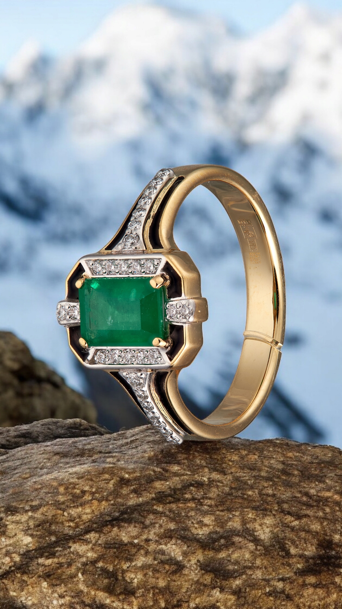 Portfolio examples (1).jpg