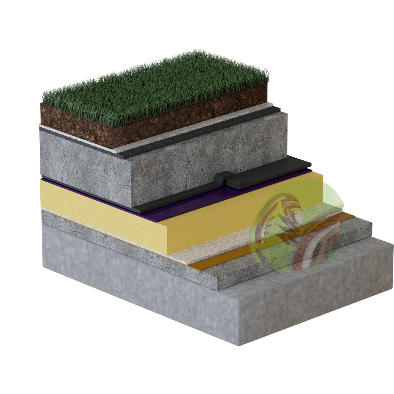 Sandwich 1 drew tree.jpg