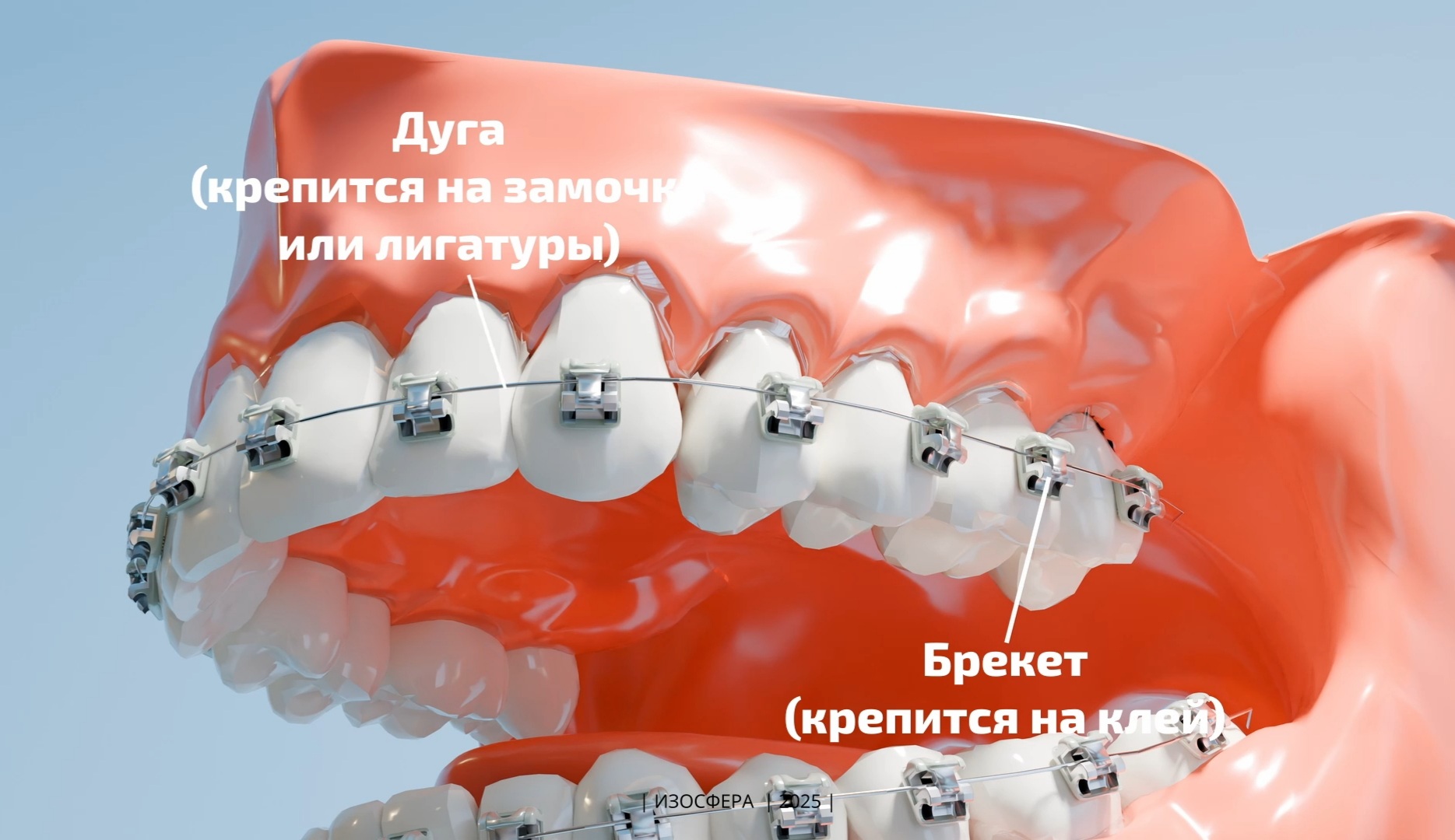 Screenshot_20250312-162611_Gallery.jpg