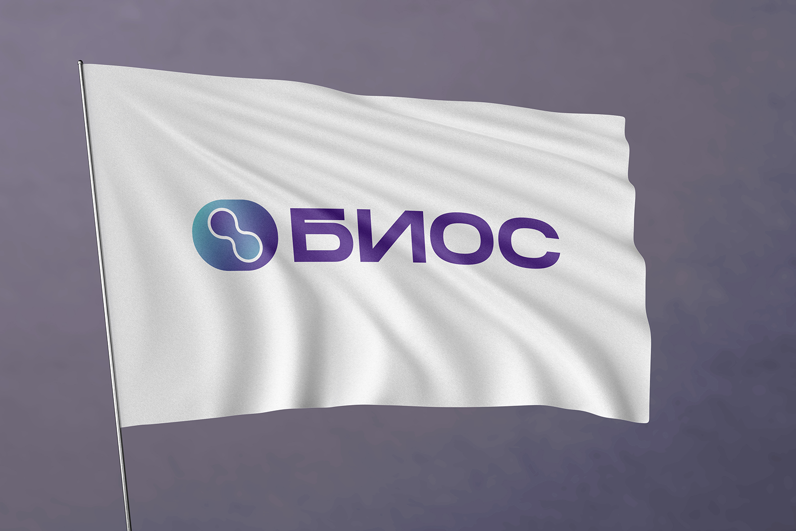 БИОС_13m.jpg