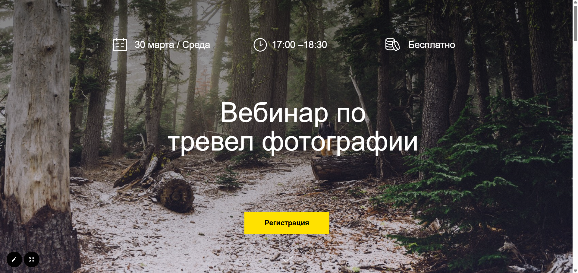 Разработка сайта для записи на вебинар