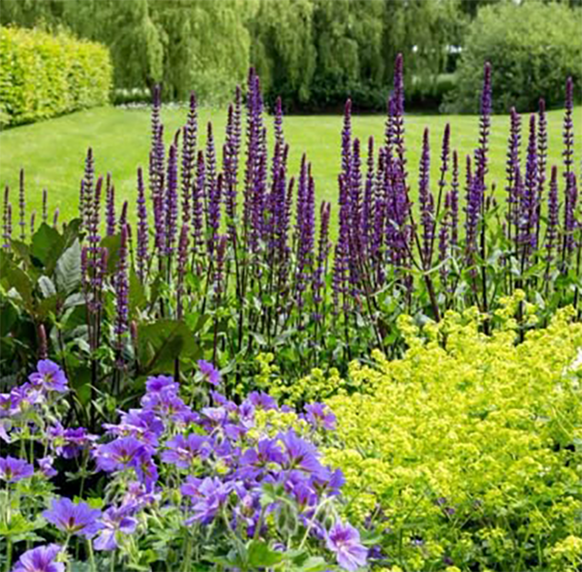 Проект озеленения