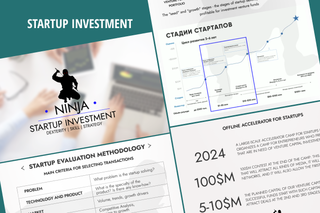 Ninja Startup Investment