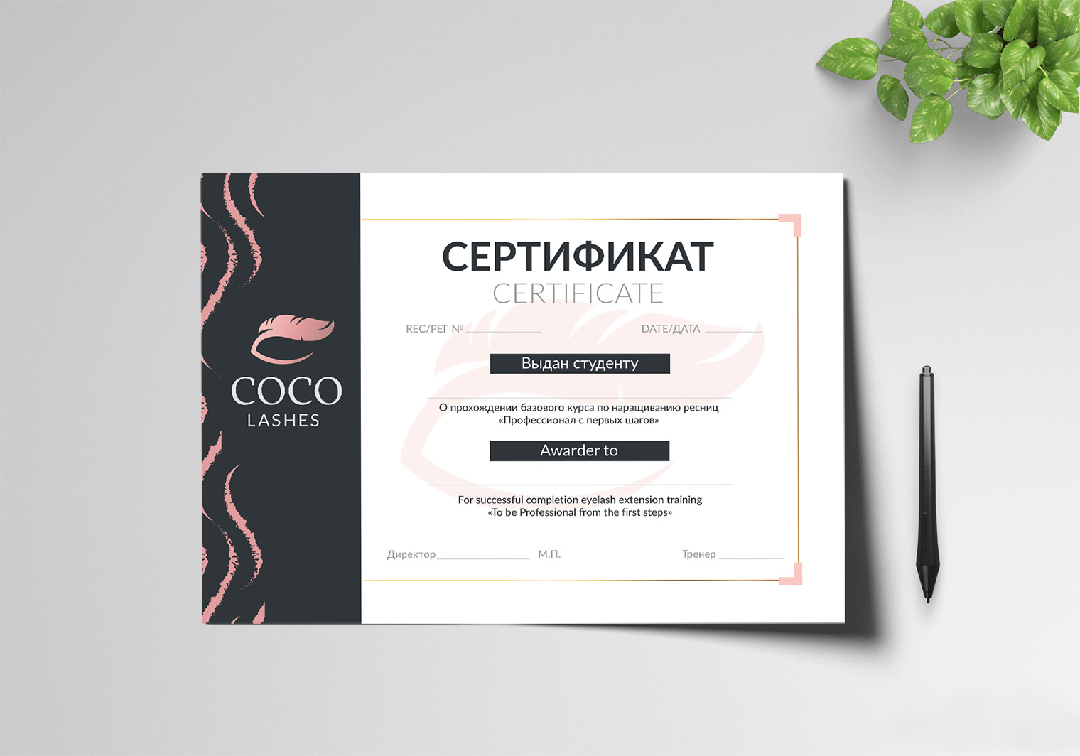 сертификат_.jpg