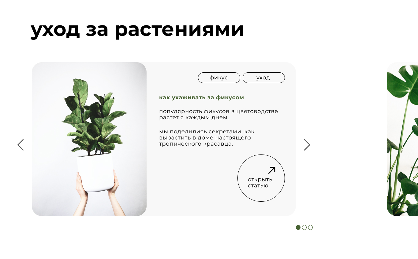 Главная (2).jpg