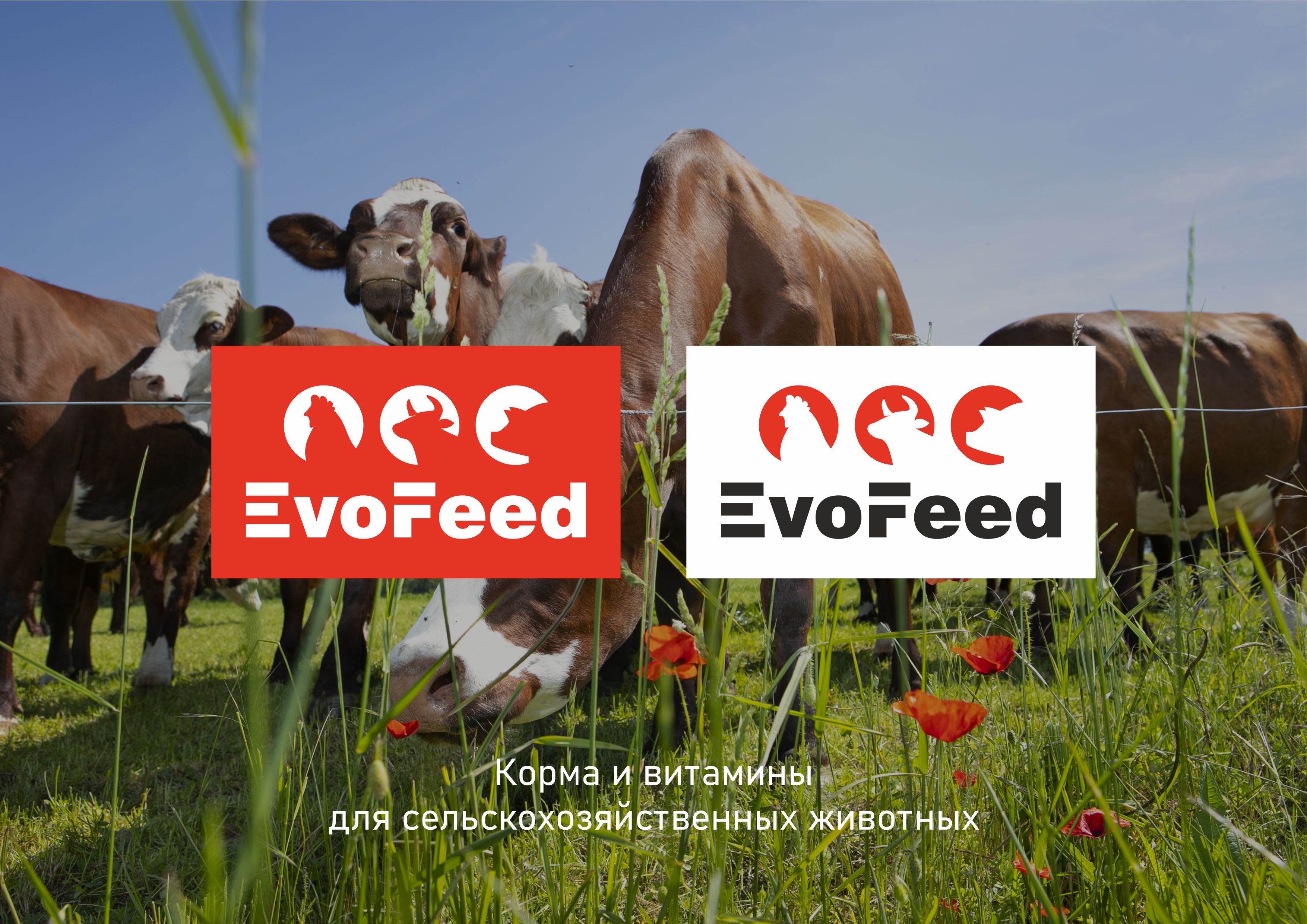 Логотип визуал.jpg