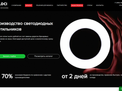 Сайт для LDCI