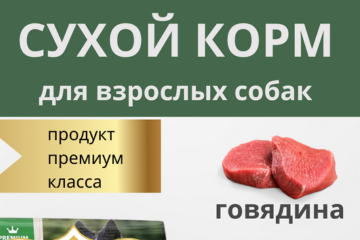 Корм для собак
